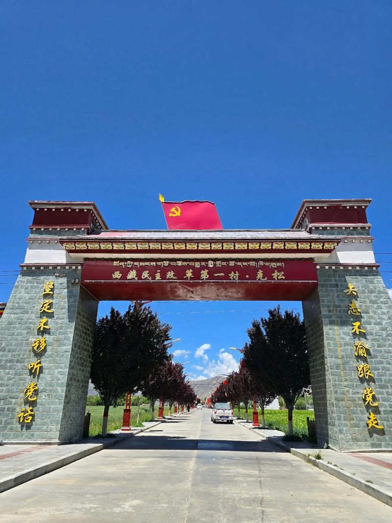 西藏自治区山南市乃东区最新疫情通报：寻找同轨迹人员/西藏山南市全景图