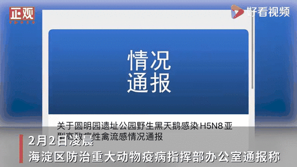 西藏自治区那曲市近期新增28例涉8省输入病例/西藏那曲市发生野禽h5n8亚型高致病性禽流感疫情