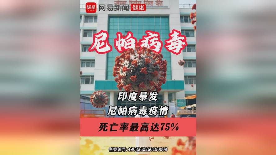 多地疫情存反弹风险(疫情多地出现反弹)