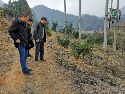 遂昌县足不出户标准最新公布(遂昌县城)