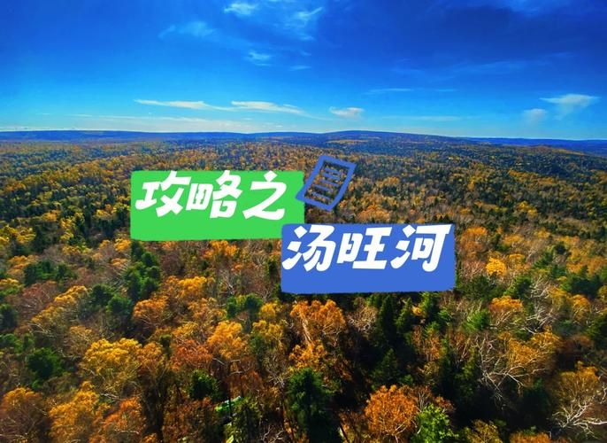【黑龙江伊春汤旺县新增17例境外输入及9例无症状,伊春汤旺区】