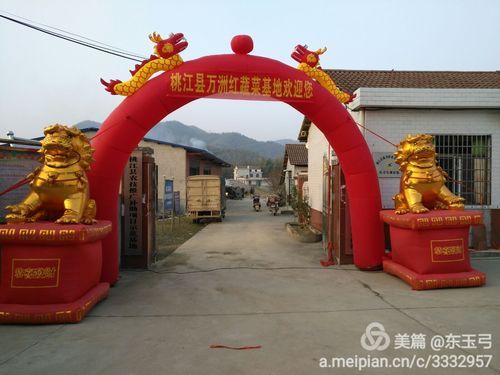 【湖南益阳湖南益阳高新技术产业园区新增重症10例，均在准格尔旗,益阳高新区疫情】