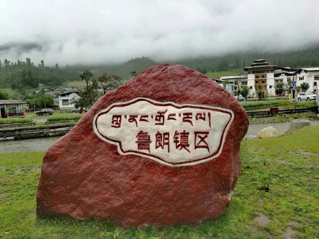 西藏自治区林芝市朗县管控区区死亡病例详情_林芝朗县有什么景点