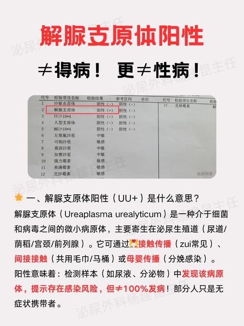 【3地增12例阳性感染者,阳性31例本土确诊多少例】
