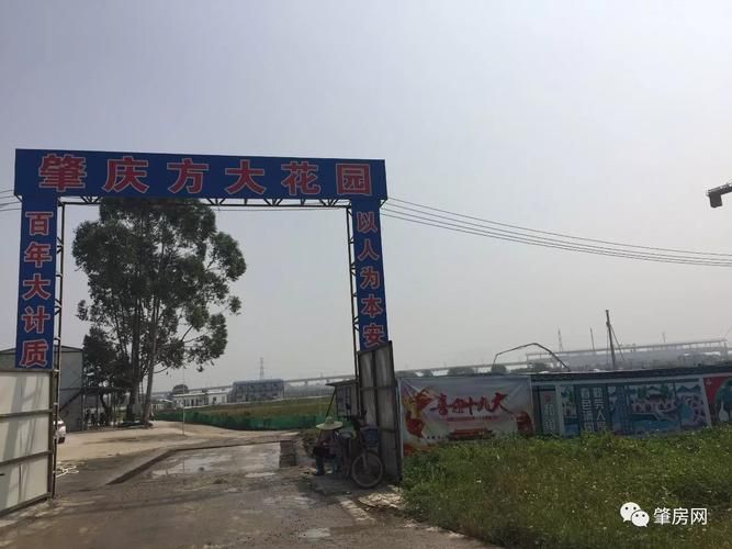 【预计近5天广东肇庆鼎湖区二次疫情回落,肇庆鼎湖区未来规划图】