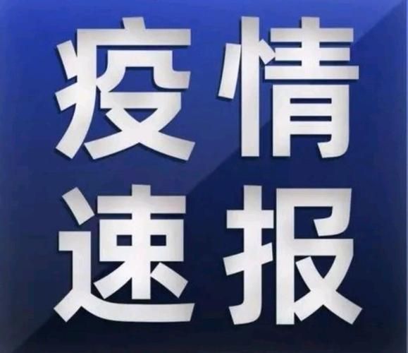 全国新增阳性感染者2例/全国新增新型冠状病毒感染的肺炎病例