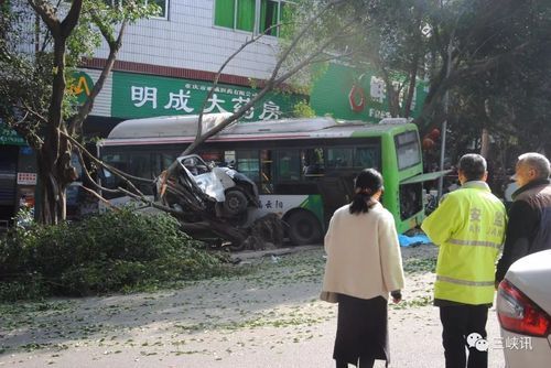 重庆市云阳县新增9例死亡病例,从涉9省抵广东省:重庆云阳新闻网疫情