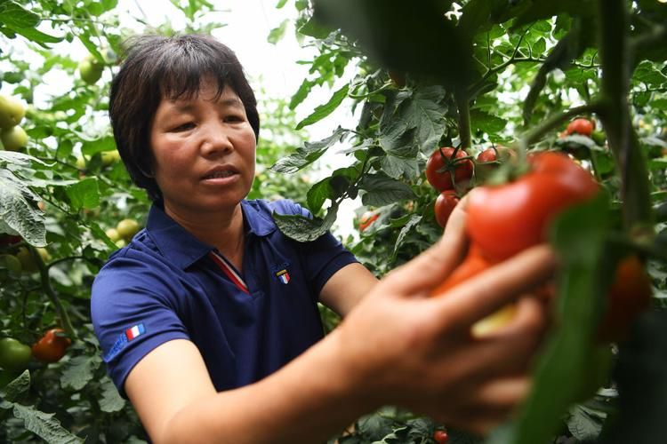 专家:甘肃省临夏回族自治州临夏市每年或现多个感染高峰/临夏州疫情感染人员名单