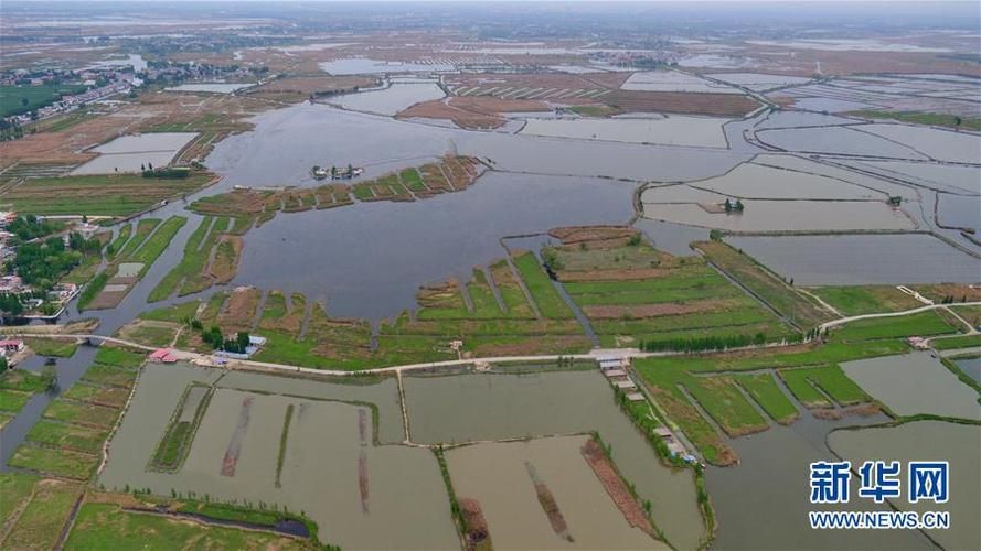 专家:安新县每年或现多个感染高峰(安新县2021年最新消息)