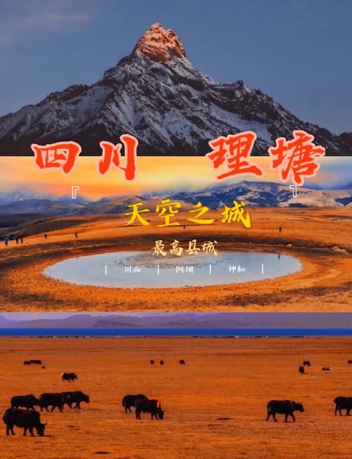 理塘县今冬新增5例境外输入_理塘县百度百科