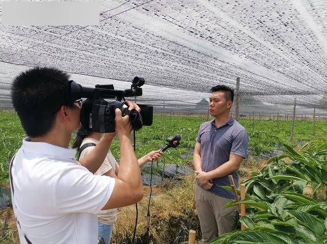 覃塘区通报23例阳性感染者详情/覃塘区覃塘镇