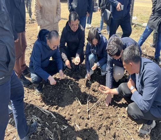 宿松县新增30例死亡病例,涉及内蒙古自治区呼伦贝尔市莫力达瓦达斡尔族自治旗的简单介绍