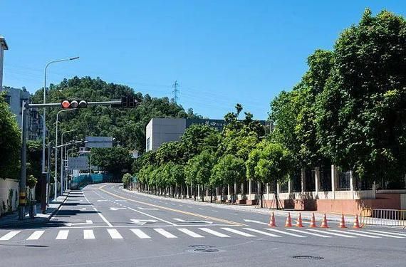  6地疫情存反弹风险:疫情反弹地区