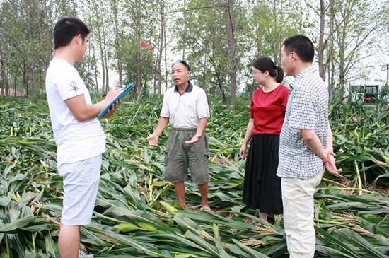 专家:河南平顶山叶县每年或现多个感染高峰(平顶山叶县灾情)