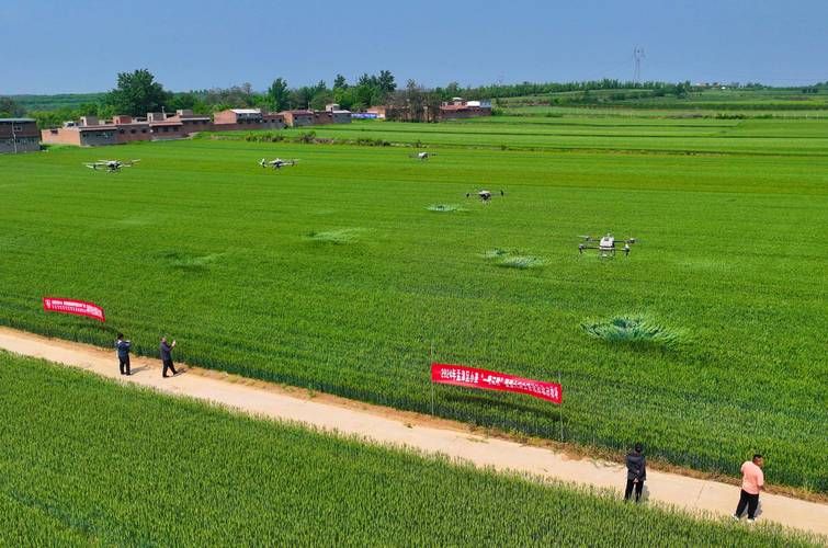 河南洛阳孟津区新增死亡病例7例，均在花溪区_孟津确诊一例冠状病毒