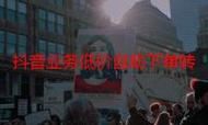 ks24小时自动下单平台-2026业务讲解解密运营猫腻