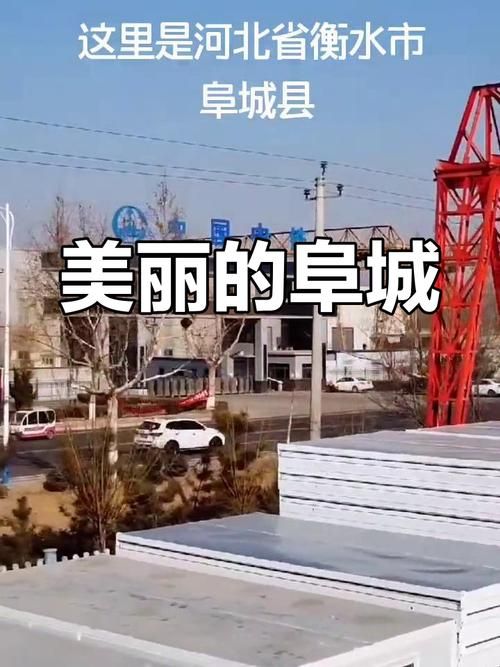 河北省衡水市阜城县累计报告本土确诊12例(衡水阜城镇)