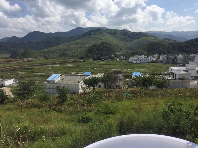 贵州黔西南布依族苗族自治州贞丰县近5天本土确诊疫情通报/贵州省贞丰县疫情情况报告