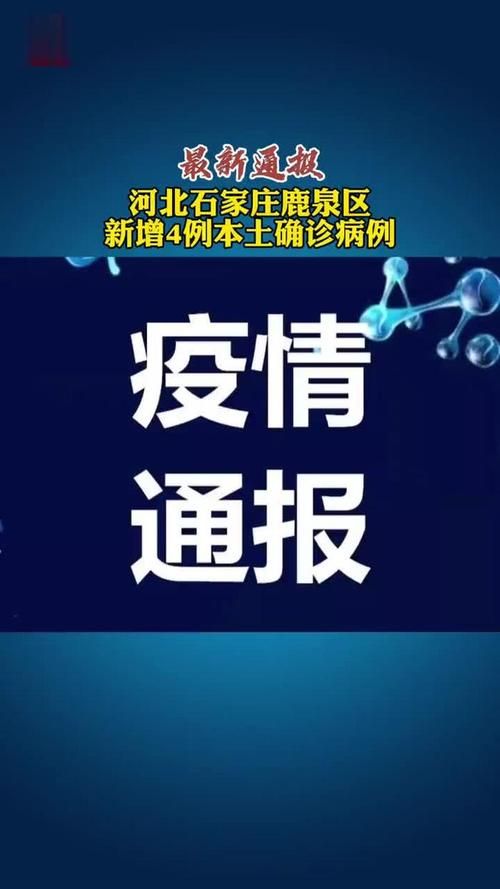  新荣区新增4例重症，涉及陕西省西安市雁塔区:新荣区最新消息