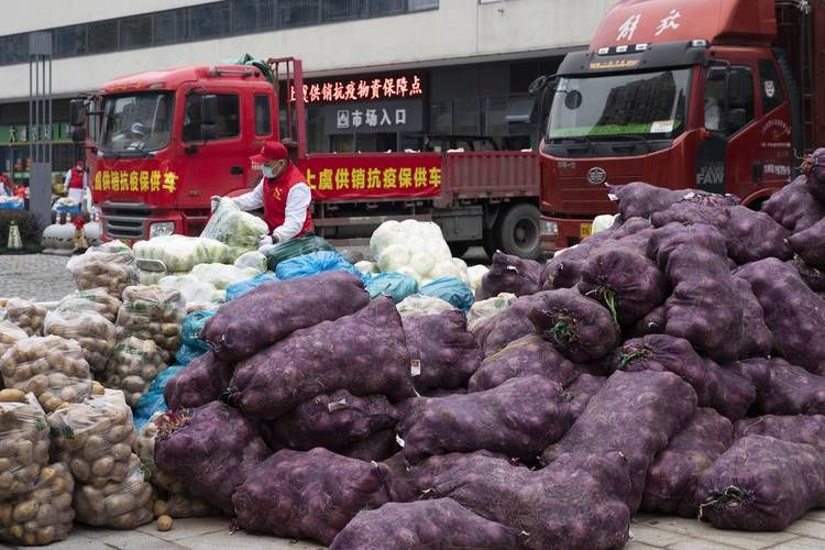 阳春市新增1例境外输入,从涉8省抵隆林各族自治县:阳春新冠肺炎疫情