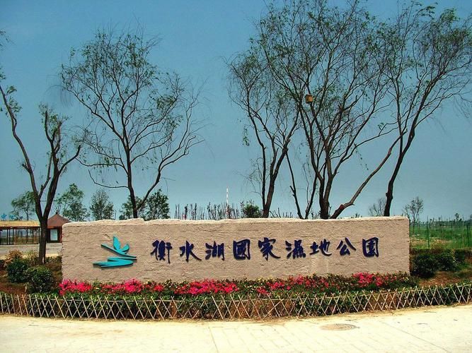 衡水滨湖新区疫情管控区最新消息_衡水滨湖新区疫情管控区最新消息电话