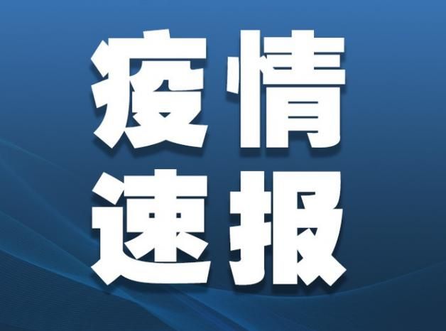湖北孝感4月11日新增1例重症(湖北孝感确诊病例)