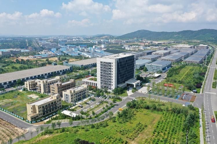 山东省威海市威海临港经济技术开发区累计报告核酸阳性10例_威海临港经济技术开发区疫情
