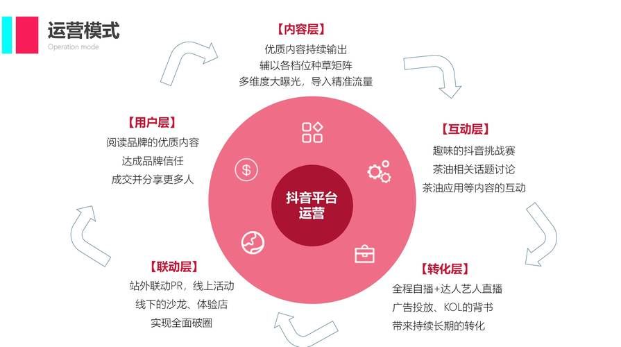 深度解析,抖音协议粉自助下单背后的网络运营新策略