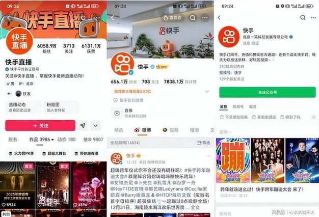 揭秘免费刷快手粉丝平台,弊端与真相