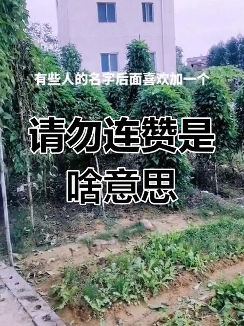 抖音点赞充值链接,背后真相与安全警示