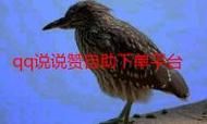 ks业务下单秒点赞的转型之路:真实在线工具详细方法