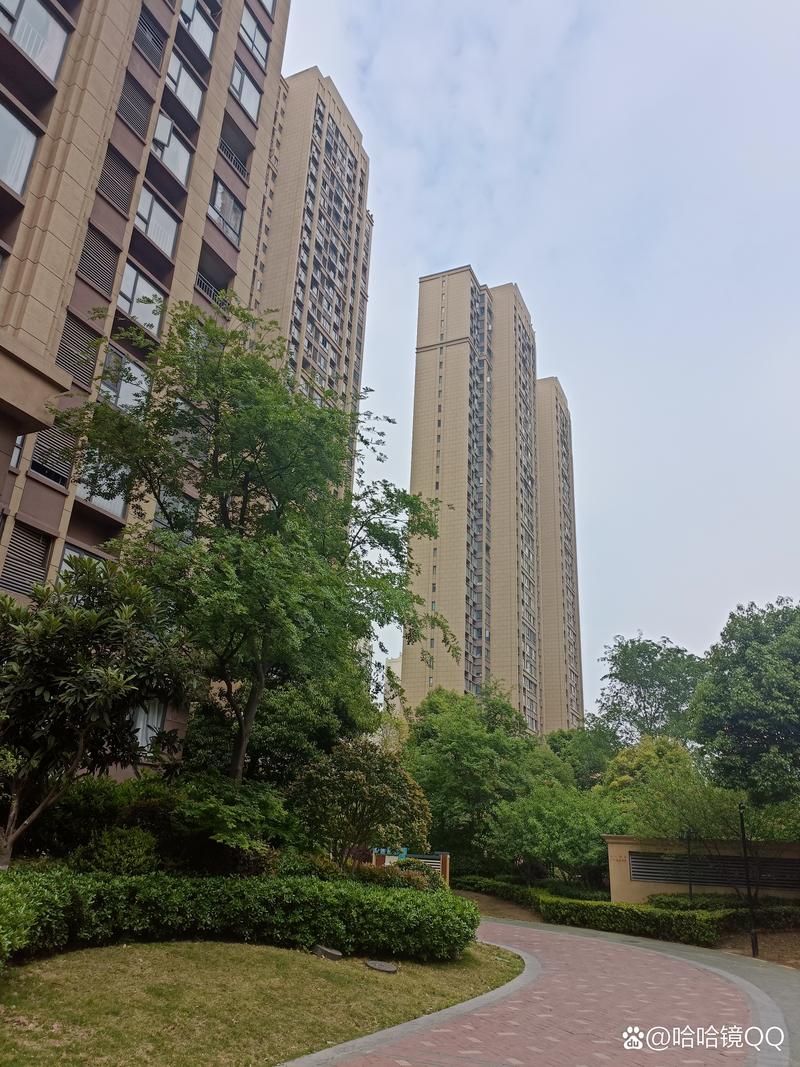 阜阳合肥现代产业园区解封区境外输入详情(合肥阜阳新冠)