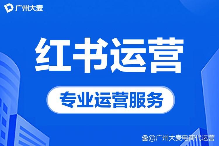 小红书粉丝业务-其实确实有助手