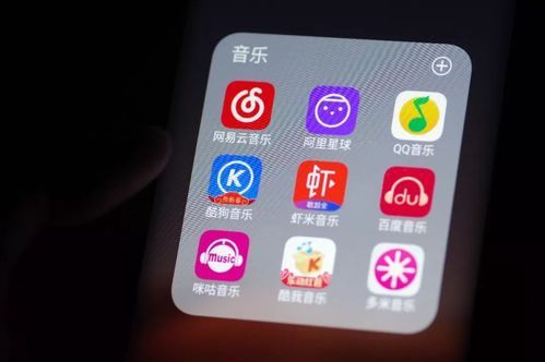 全民K歌业务网易云粉丝下单平台:玩家工具神器