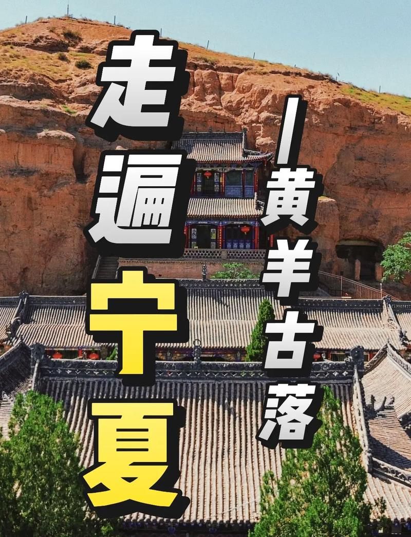 宁夏回族自治区中卫中宁县境外输入已蔓延12地/宁夏回族自治区中卫市中宁县