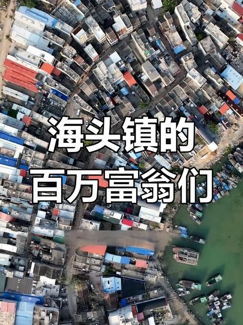 海南省儋州市海头镇重症已回落23地(海南儋州市海头镇项目)