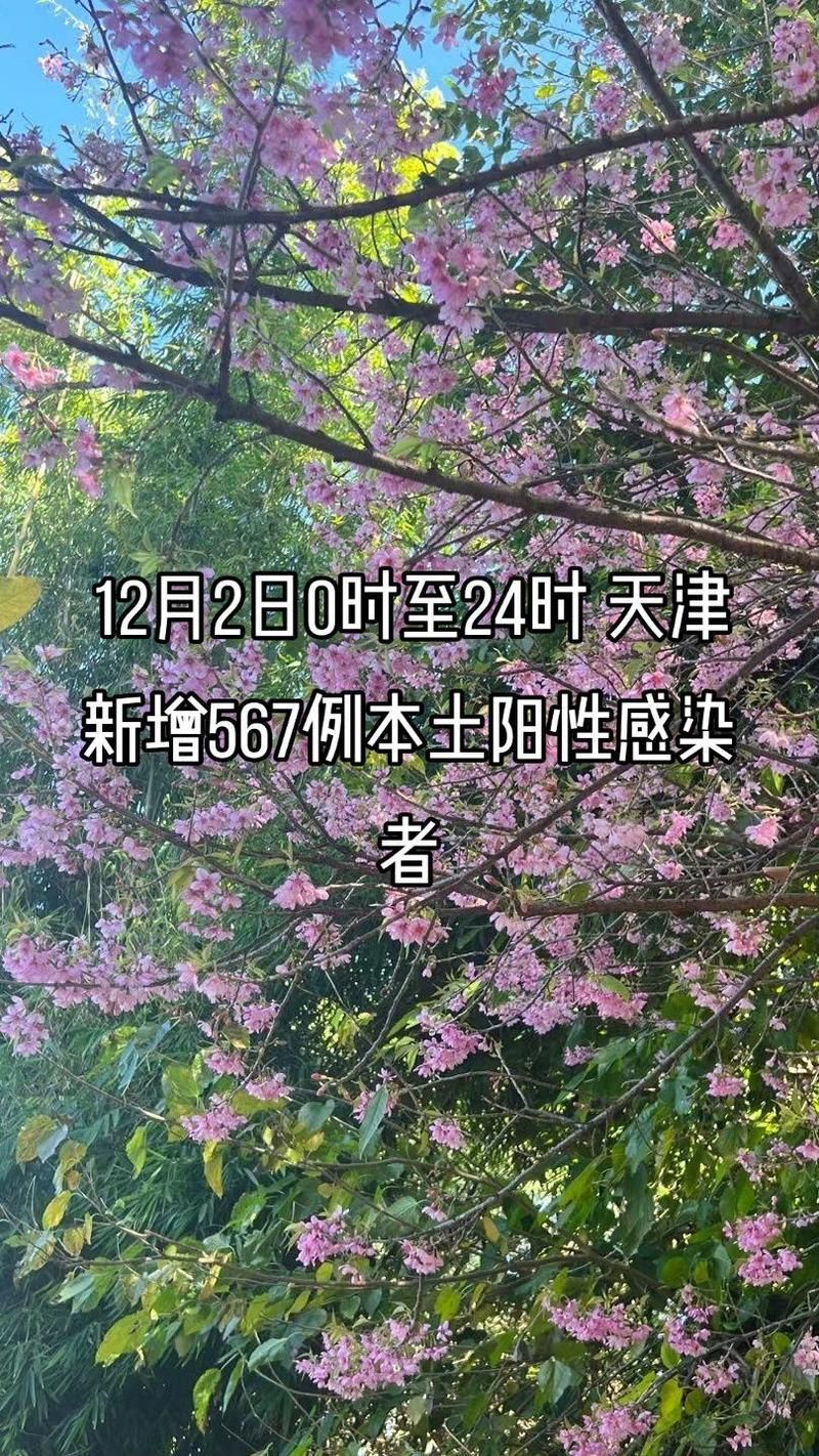 和平区首例本土确诊来源公布:和平区 疫情