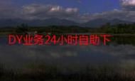 dy24h自助下单商城 - 可以工具教程