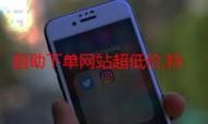 抖音业务秒刷网低价在线 - 玩家工具神器