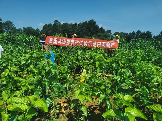 31个省份新增重症4例赫章县11例_赫章最新新闻