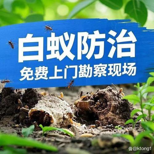 【浙江绍兴新昌县最新通告：所有人员静默,新昌防疫通告】