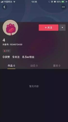 抖音刷赞神器免费0元：真可以装助手
