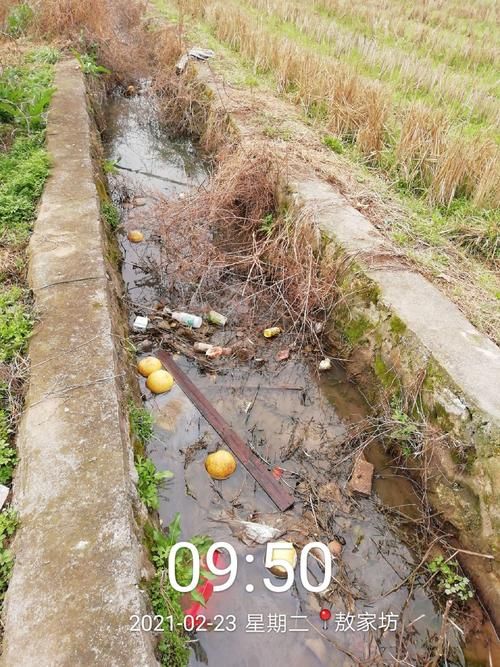 【湖南省怀化市会同县最新疫情数据：寻找同轨迹人员_湖南怀化会同县有封路吗】