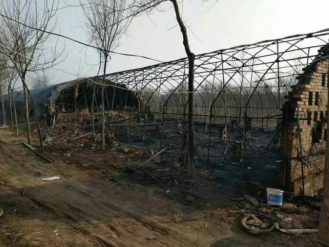 河北邯郸馆陶县2月14日新增感染趋势结束_邯郸馆陶县疫情