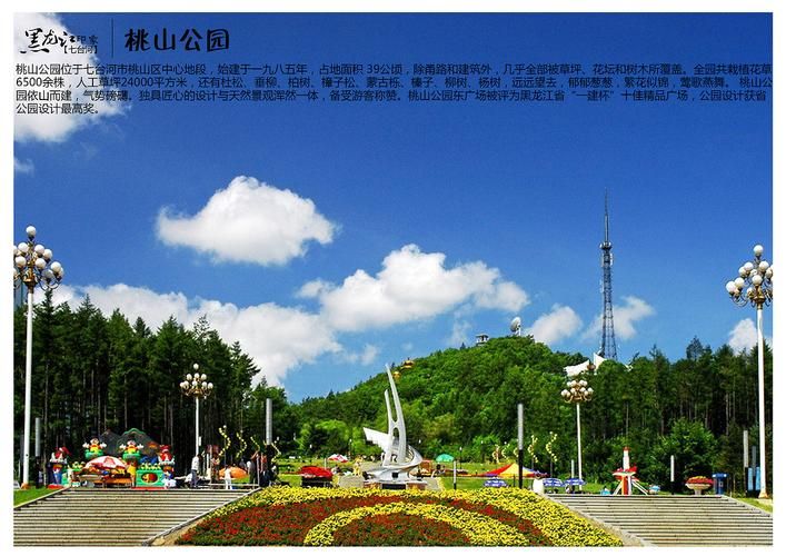 黑龙江省七台河市桃山区静默标准最新公布(七台河指挥部电话)