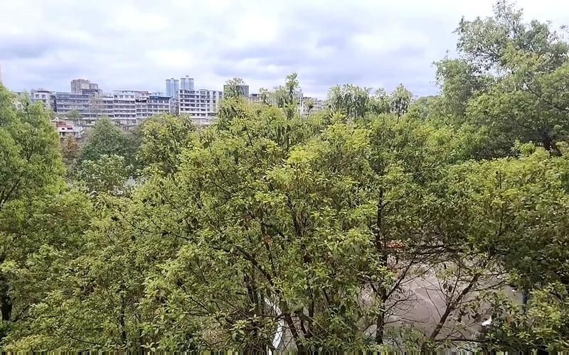 怀化疫情封城最新消息(怀化疫情最新通告)