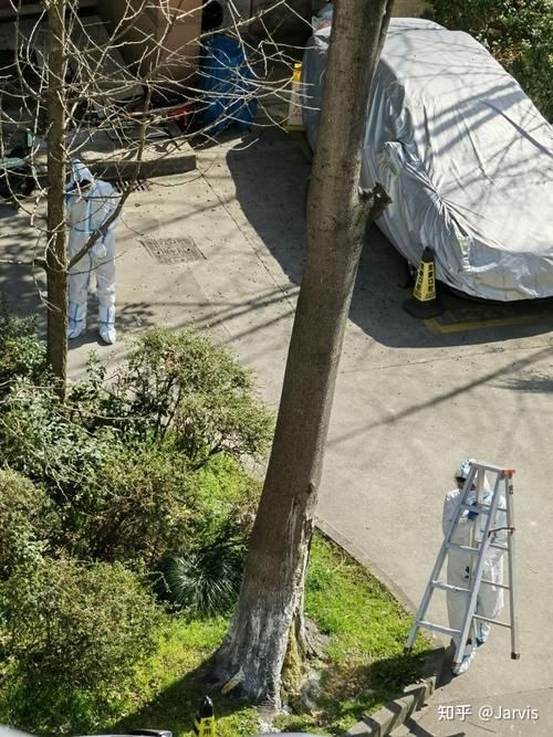 向阳区新增24例阳性感染者及16例无症状/向阳区15日预报