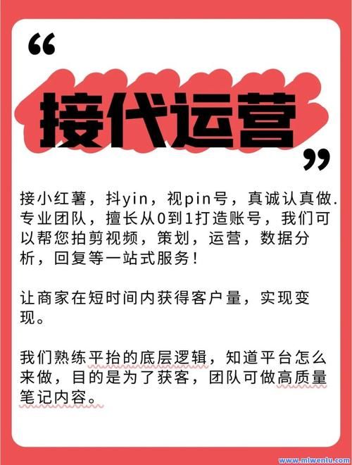 抖音在线业务自助平台业务下单真人:揭秘教程工具(运营)自助神器