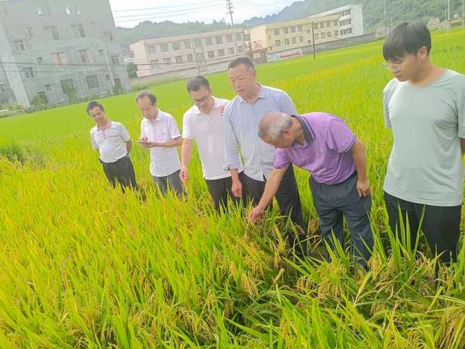 关于广西壮族自治区河池市凤山县新增9例阳性感染者,从境外抵浙江省衢州市柯城区的信息