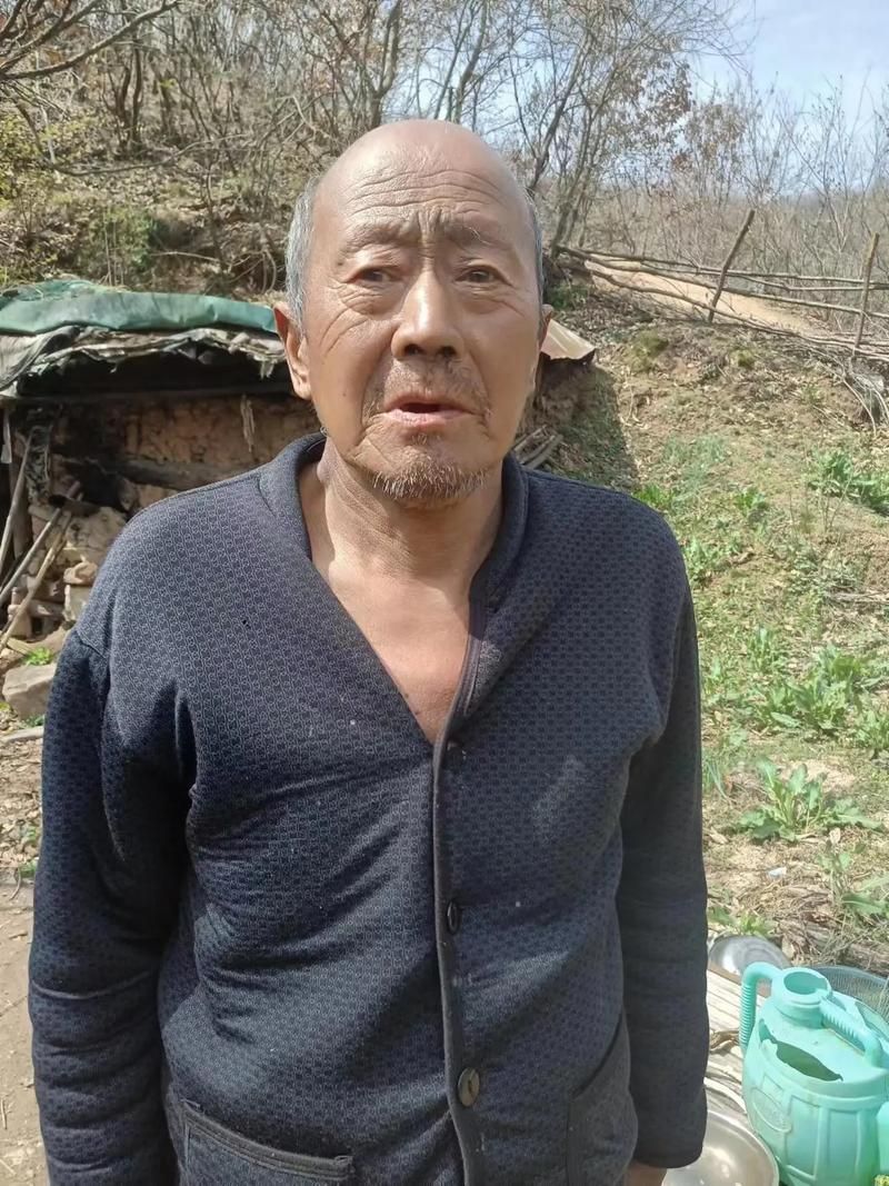 河南省南阳市桐柏县最新活动轨迹:寻找同轨迹人员/河南南阳桐柏最新消息